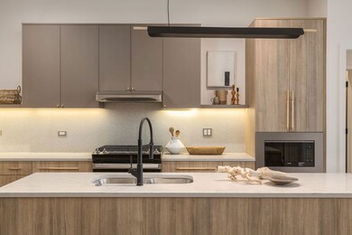 8040 Oconnor Dr unit 311, River Grove, IL 60171 - photo 7