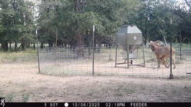 Fm 175, Antelope, TX 76458 - photo 5