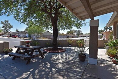 Courtyard 4