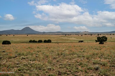 000-A2 Kirby Lane Lot A2 Ln, Ash Fork, AZ 86320 - photo 4