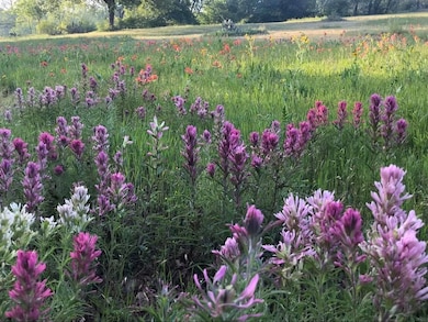 284 Gail Dr, Weatherford, TX 76085 - photo 7