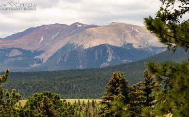 Awesome views from the back patio, including Pikes