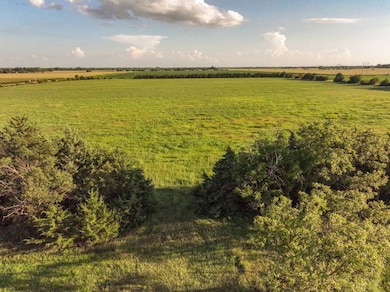 TBD 20th Rd, Central City, NE 68826 - photo 3