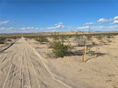 5440 Shoshone Valley Rd, Twentynine Palms, CA 92277 - photo 2