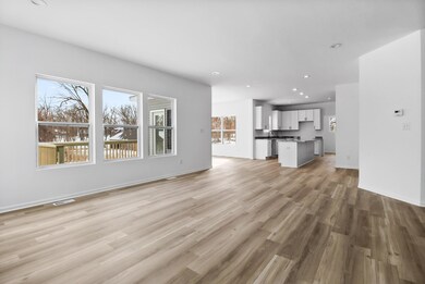 3005 E 105th Ave, Crown Point, IN 46307 - photo 4