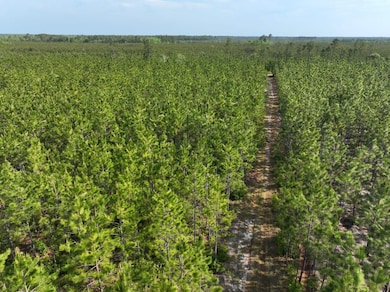 0 Ralph Davis Rd, Folkston, GA 31537 - photo 7