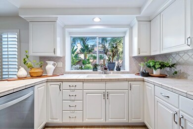 Kitchen sink with plant window.
