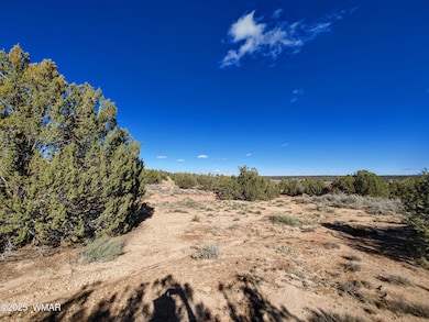 Parcel 2 W Shumway Rd, Taylor, AZ 85901 - photo 5