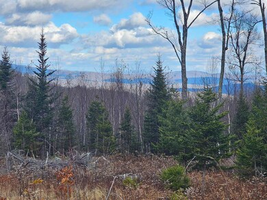 706 Vt Route 100, Stratton, VT 05360 - photo 4