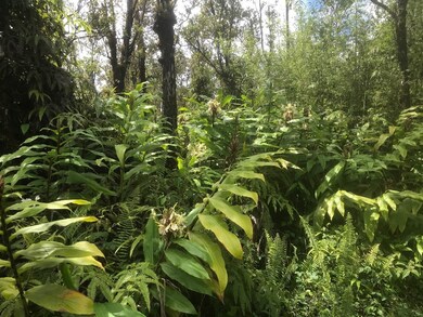 0 Omeka Rd unit 669638, Volcano, HI 96785 - photo 6