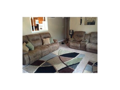 WONDERFUL NEW PLUSH CARPET