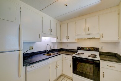 17 Healey St unit 302, Cambridge, MA 02138 - photo 5