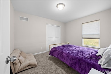 3422 Chippewa Dr, Belleville, IL 62221 - photo 7