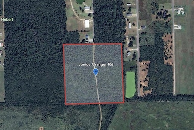 0 Junius Granger Rd unit SWL25102257, Grand Lake, LA - photo 3