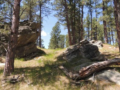 Lot 22 DiamondE Upper French Creek Rd unit TBD Upper French Cre, West Custer, SD 57730 - photo 3