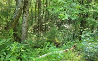 Additional View