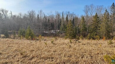 View of local wilderness