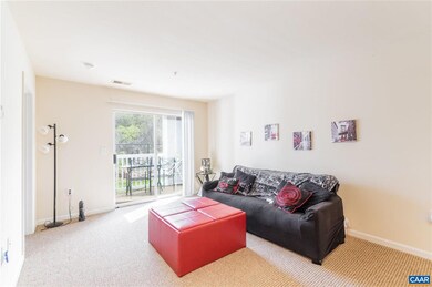 195 Yellowstone Dr unit 4, Charlottesville, VA 22903 - photo 4