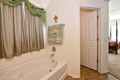 master-bathroom2