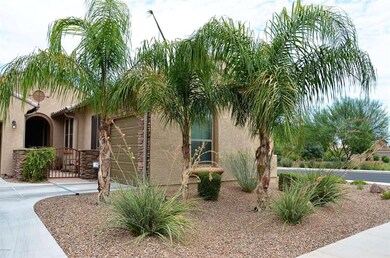 Front Yard