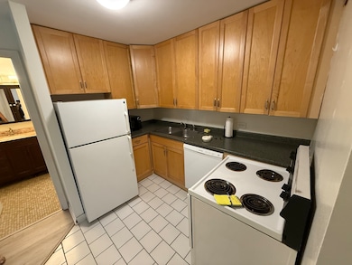 2007 N Sedgwick St unit 202, Chicago, IL 60614 - photo 2
