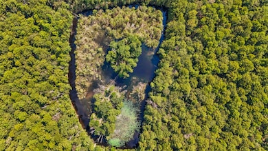 0000 County Road 4926, Fred, TX 77616 - photo 3