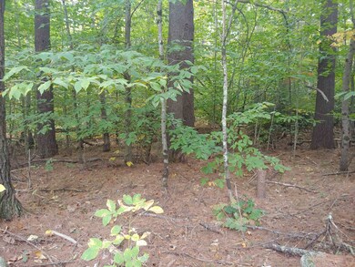 Lot 72 Holmes Rd, Barnstead, NH 03225 - photo 4
