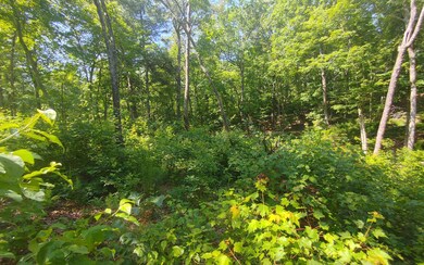 0 Hilton Dr unit 325899, Ellijay, GA 30540 - photo 7