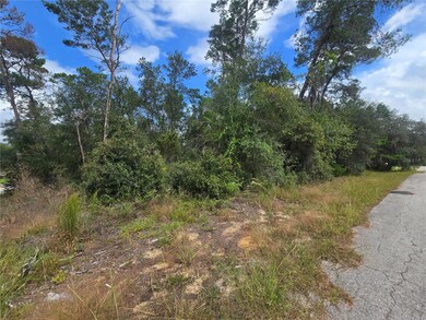 3008 Clearwood St, Inverness, FL 34452 - photo 3