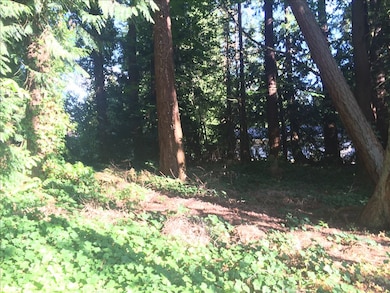 8705 Maplewood Ln, Edmonds, WA 98026 - photo 7