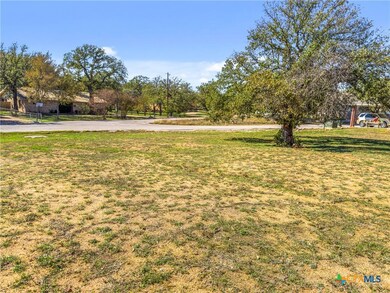 2100 Cedar Valley Dr, Kingsland, TX 78639 - photo 6