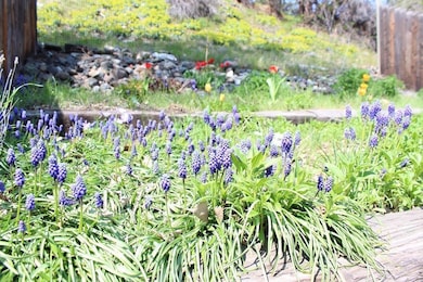 217 N Humbolt St, Canyon City, OR 97820 - photo 7