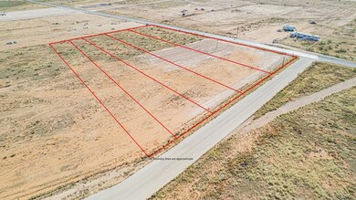 2059 County Rd C2300, Midland, TX 79705 - photo 3