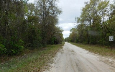 0 Lot 46 Santa Fe Dr unit 100498, Fort White, FL 32038 - photo 4