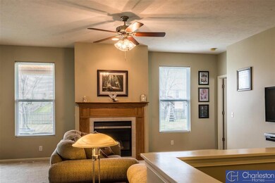 2202 S Mineral Dr, Papillion, NE 68046 - photo 7