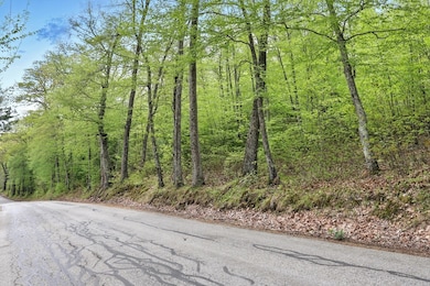 Lot 4 Reed St, Warren, MA 01083 - photo 3