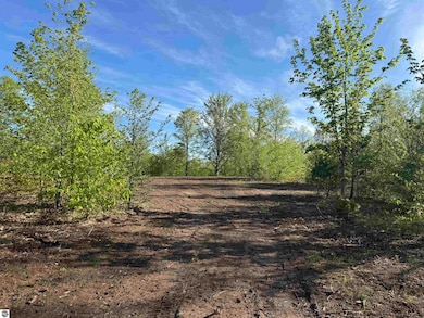 1087 E Solaris Way, Maple City, MI 49664 - photo 4