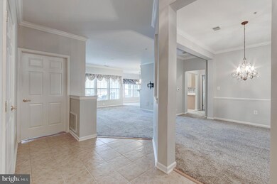 2602 Clarion Ct unit 103, Odenton, MD 21113 - photo 3