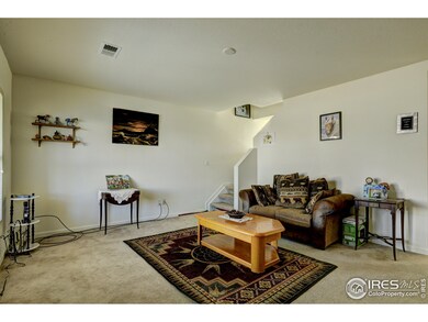 218 Zephyr Ct, Brighton, CO 80603 - photo 3