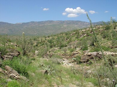 7301 S Red Hill Rd unit 84, Vail, AZ 85641 - photo 6