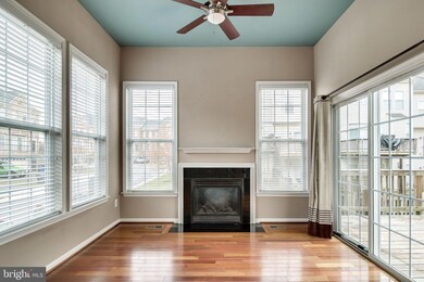 25118 Andes Terrace, Stone Ridge, VA 20105 - photo 4