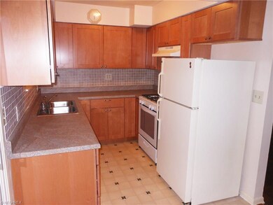 New kitchen cabinets, counter top and back splash.