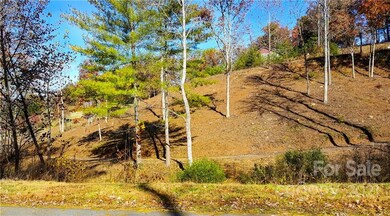 81 Timber Ridge Cir unit LOT 18, Leicester, NC 28748 - photo 6