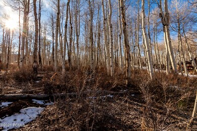 4_Land_high_3793249