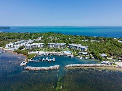 87851 Old Hwy unit K5 & boat slip 42, Islamorada, FL 33036 - photo 2