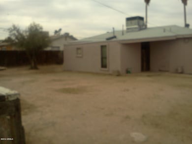 backyard2