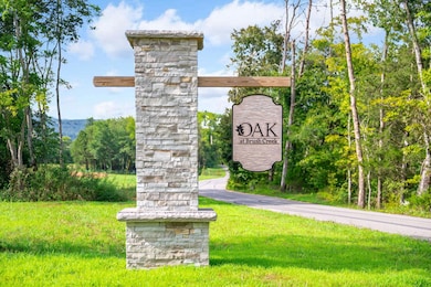 207-web-or-mls-DSC_5411