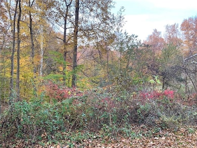 0 Park Hill Dr unit MBR21824365, Spencer, IN 47460 - photo 2