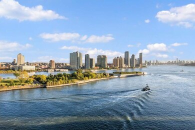 Cannon Point South Apartments unit 17F, New York, NY 10022 - photo 5