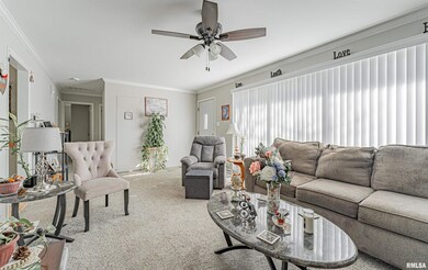 200 Mayfair Dr, Lincoln, IL 62656 - photo 5